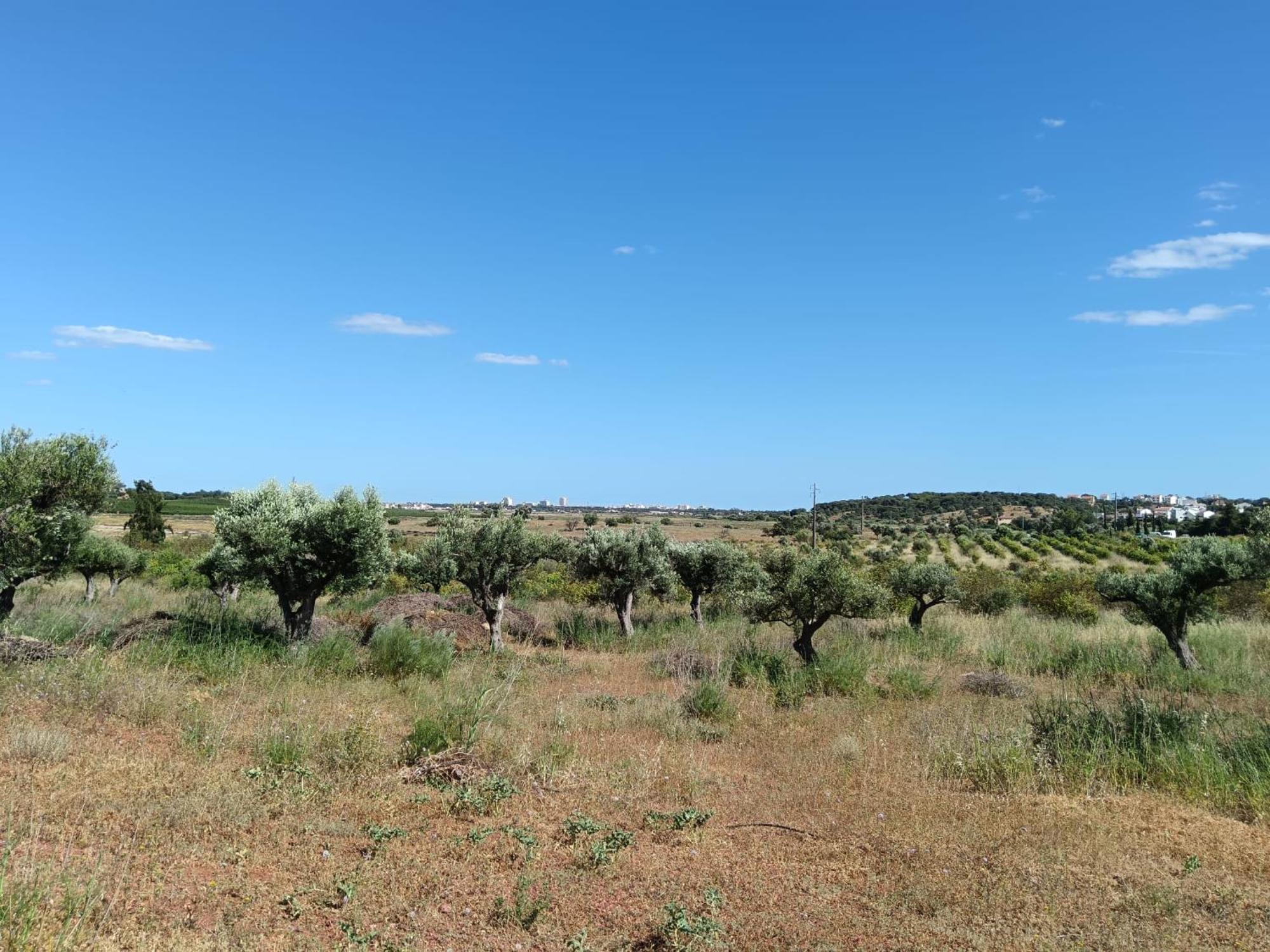 Quinta Da Fornalha - Santuario Agroecologico Villa Castro Marim Luaran gambar