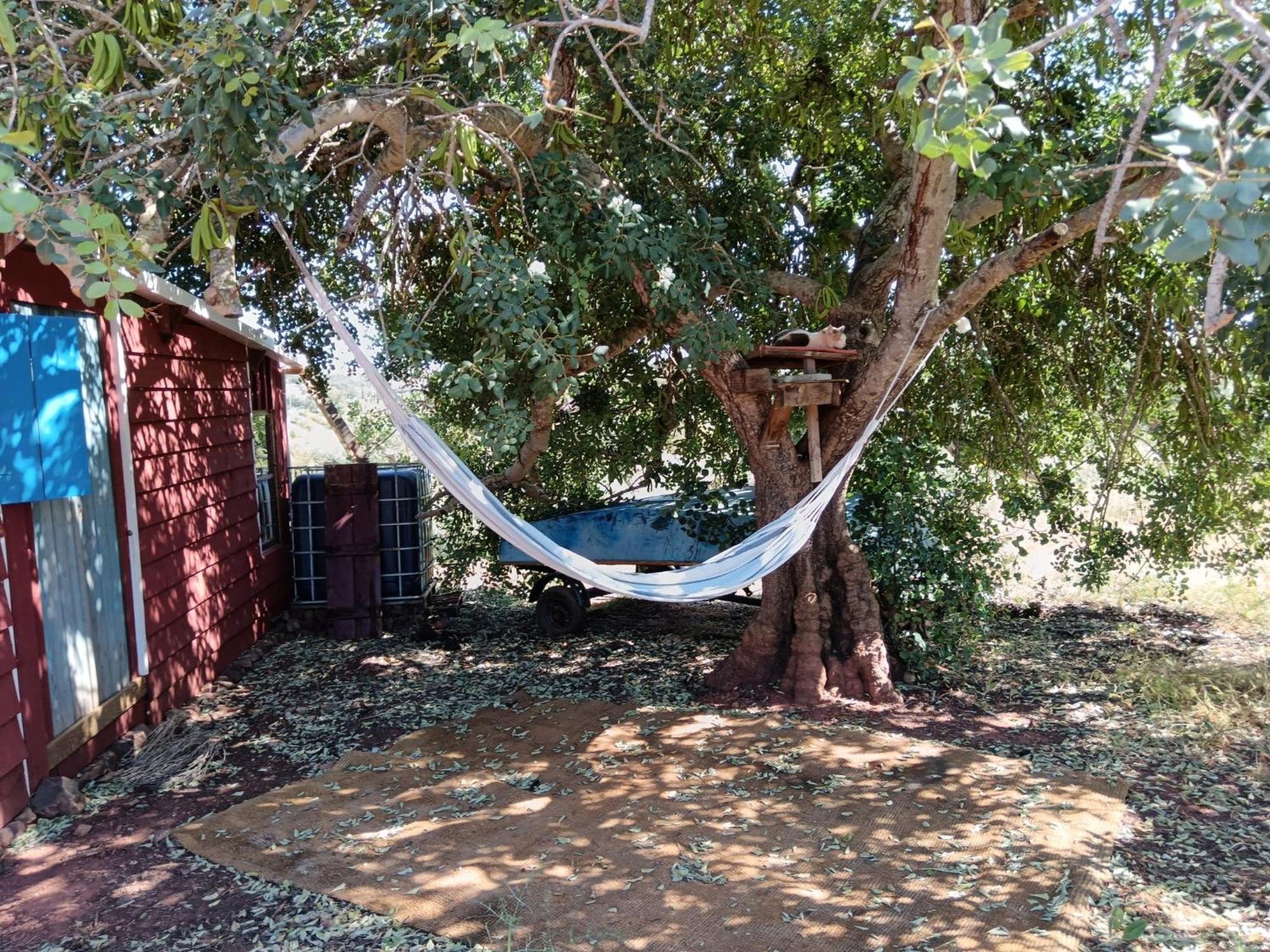 Quinta Da Fornalha - Santuario Agroecologico Villa Castro Marim Luaran gambar