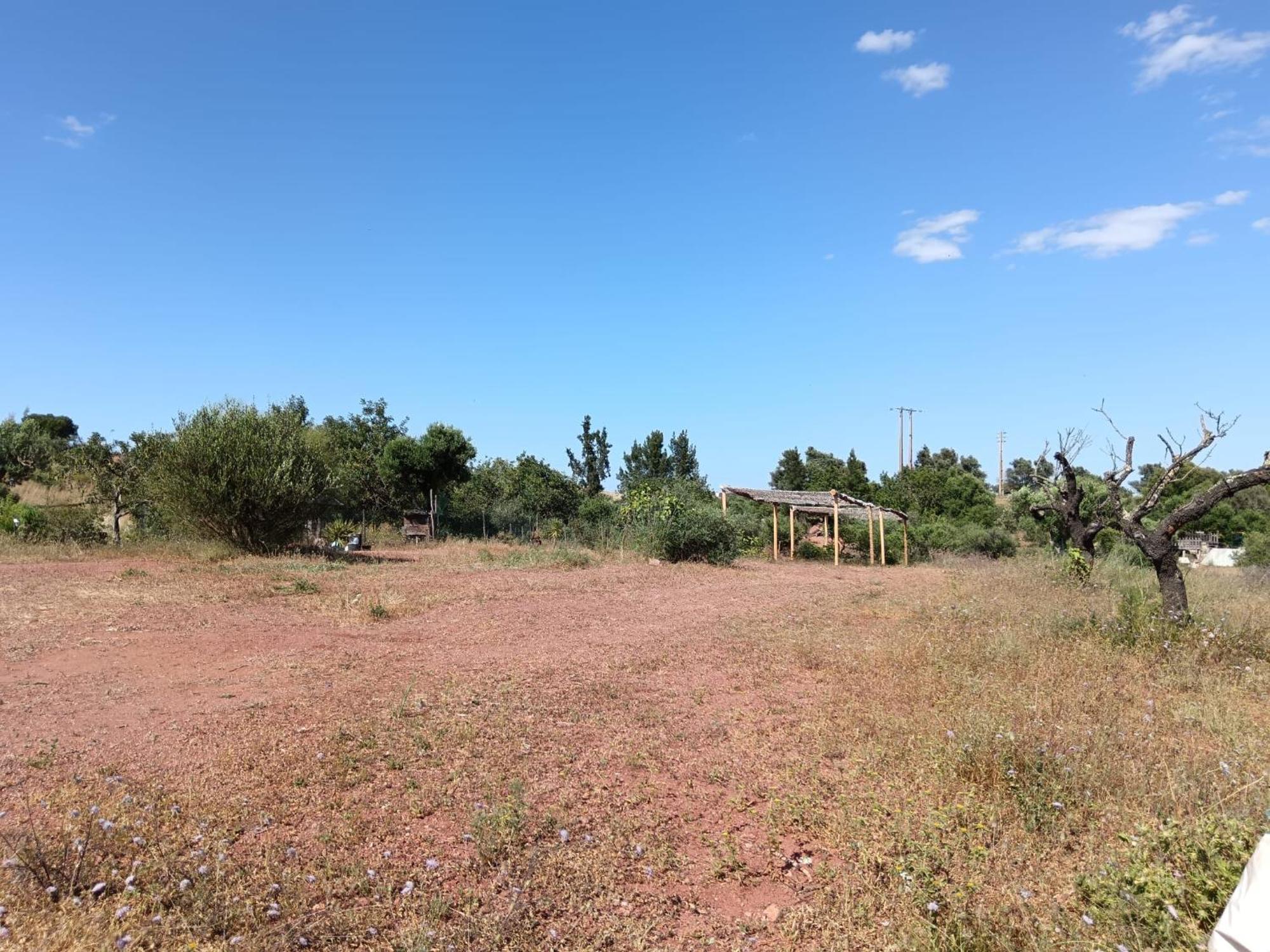 Quinta Da Fornalha - Santuario Agroecologico Villa Castro Marim Luaran gambar